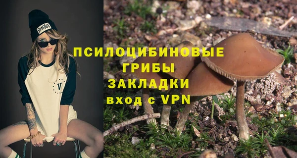 винт Алзамай