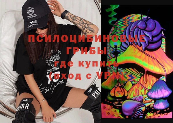 винт Алзамай